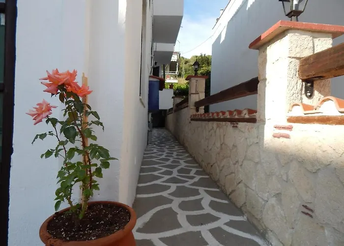 度假居 Greek House With Seaview,parking And Yard With Bbq 尼尔斯吉尼